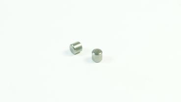 SWORKz Stift 5 x 4,9mm (2)